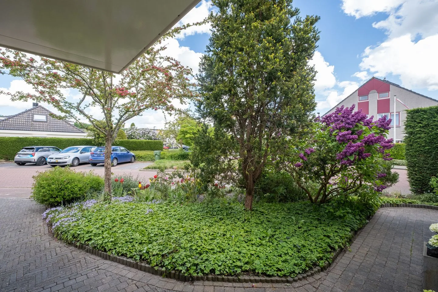 Dwergvinvis 28 Heerhugowaard thumbnail 27