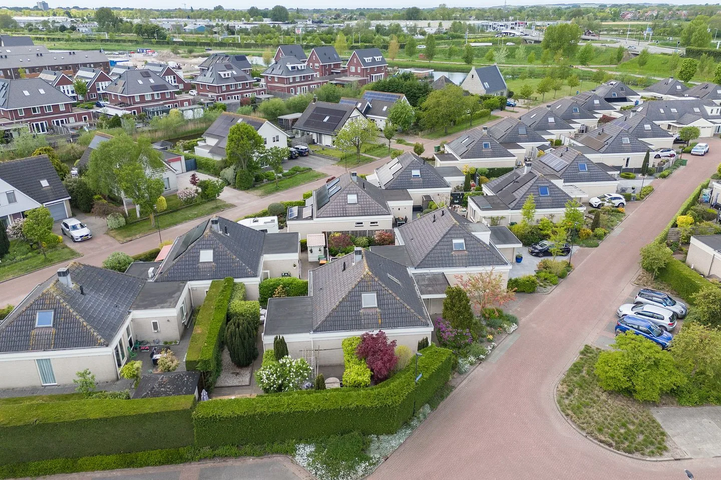 Dwergvinvis 28 Heerhugowaard thumbnail 28
