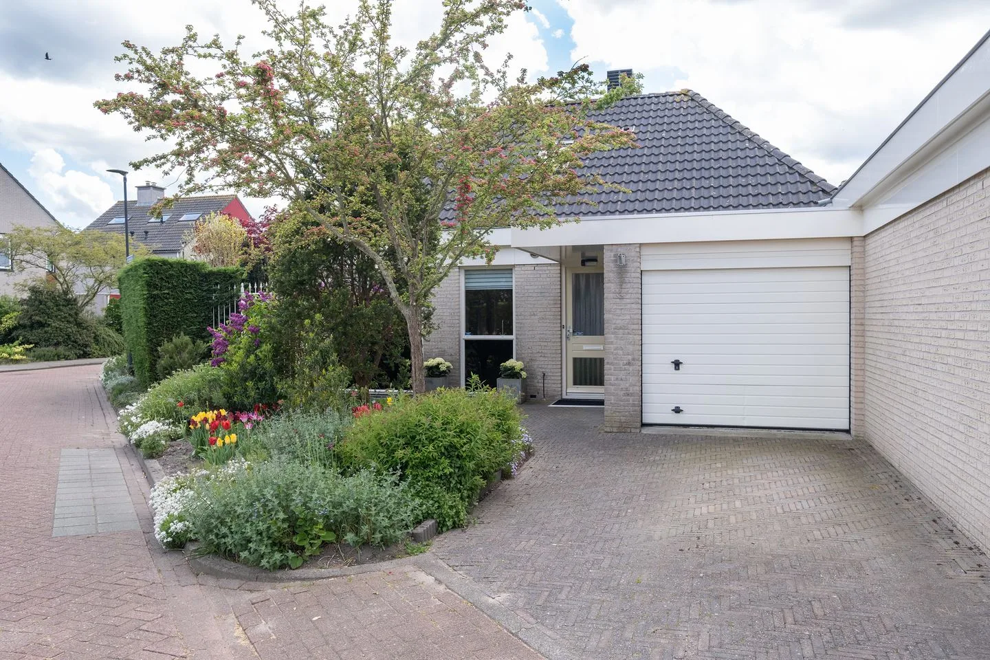 Dwergvinvis 28 Heerhugowaard foto 3