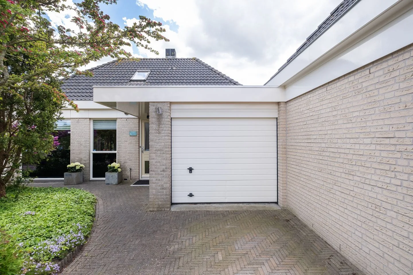Dwergvinvis 28 Heerhugowaard thumbnail 30