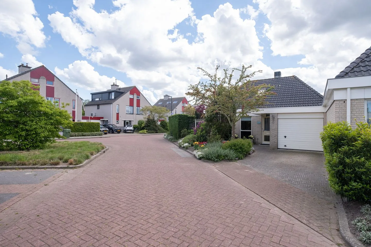 Dwergvinvis 28 Heerhugowaard thumbnail 32