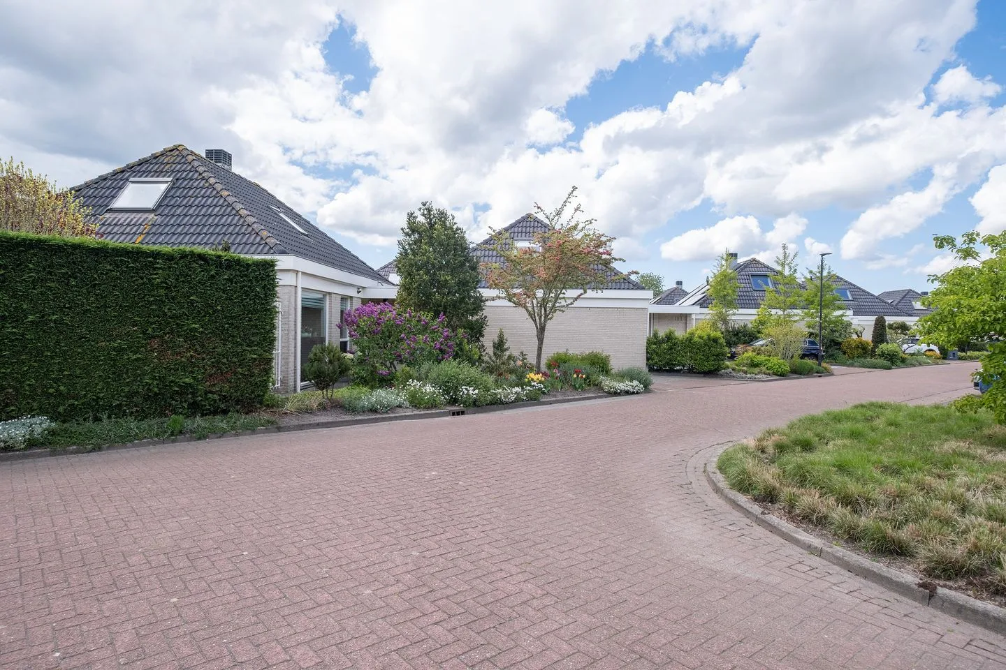 Dwergvinvis 28 Heerhugowaard thumbnail 33