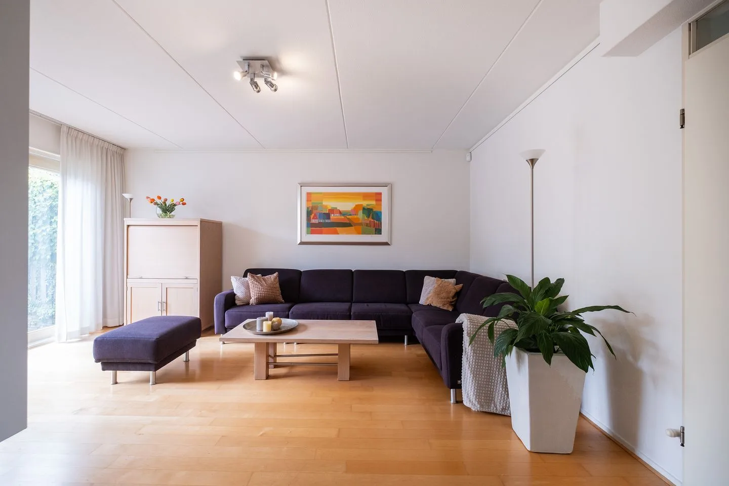 Dwergvinvis 28 Heerhugowaard thumbnail 6