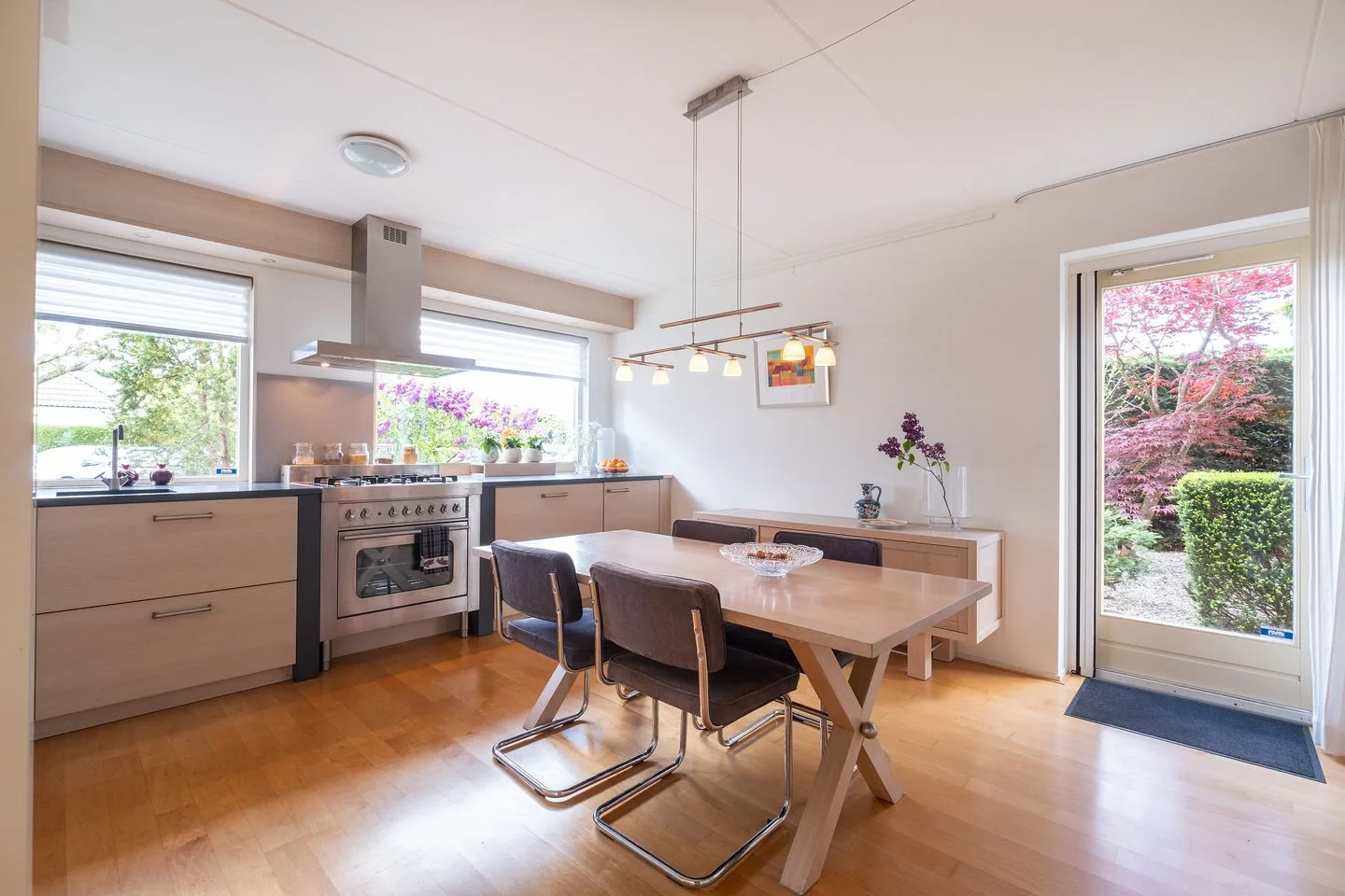 Dwergvinvis 28 Heerhugowaard thumbnail 8