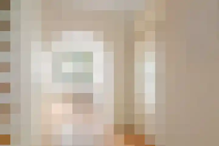 Dwergvinvisstraat 3 Amsterdam thumbnail 18