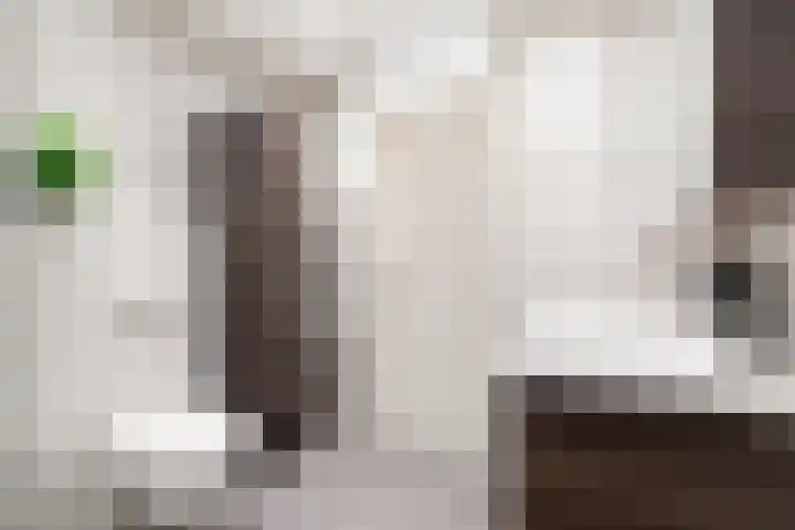 Dwergvinvisstraat 3 Amsterdam thumbnail 25