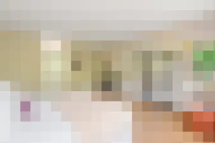 Dwergvinvisstraat 3 Amsterdam thumbnail 30