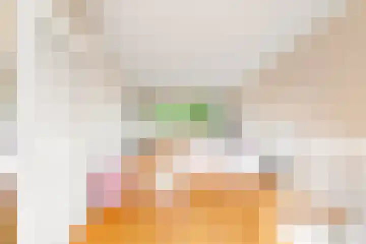 Dwergvinvisstraat 3 Amsterdam thumbnail 31