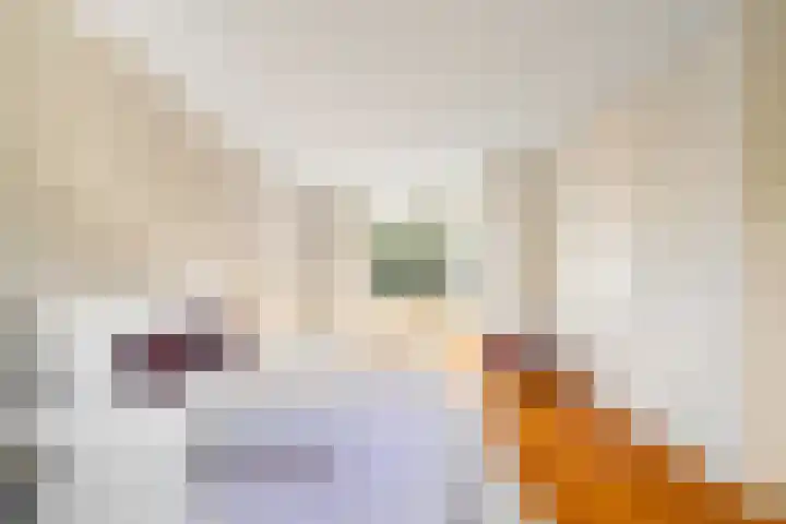 Dwergvinvisstraat 3 Amsterdam thumbnail 32