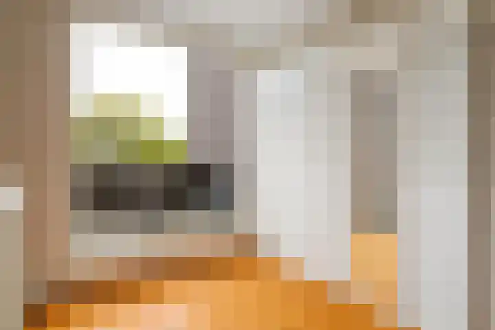 Dwergvinvisstraat 3 Amsterdam thumbnail 33