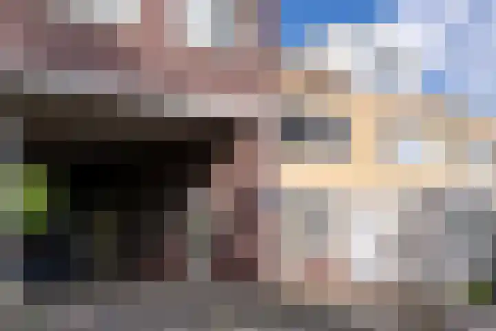 Dwergvinvisstraat 3 Amsterdam thumbnail 39