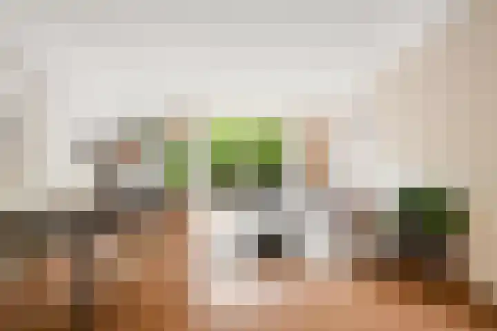 Dwergvinvisstraat 3 Amsterdam thumbnail 5