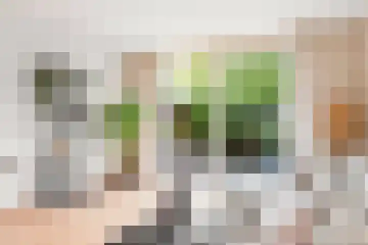 Dwergvinvisstraat 3 Amsterdam thumbnail 7