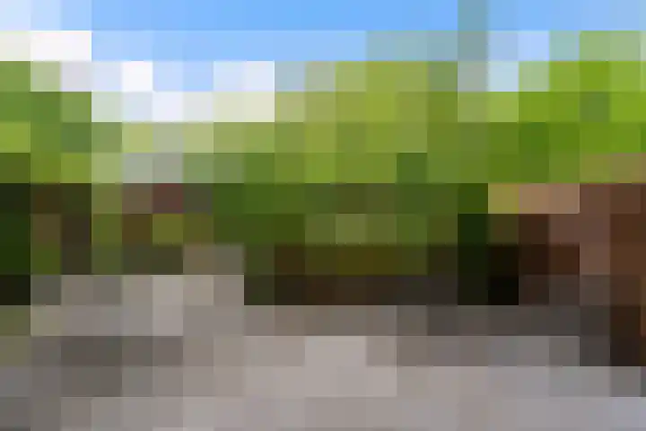 Dwergvinvisstraat 3 Amsterdam thumbnail 8