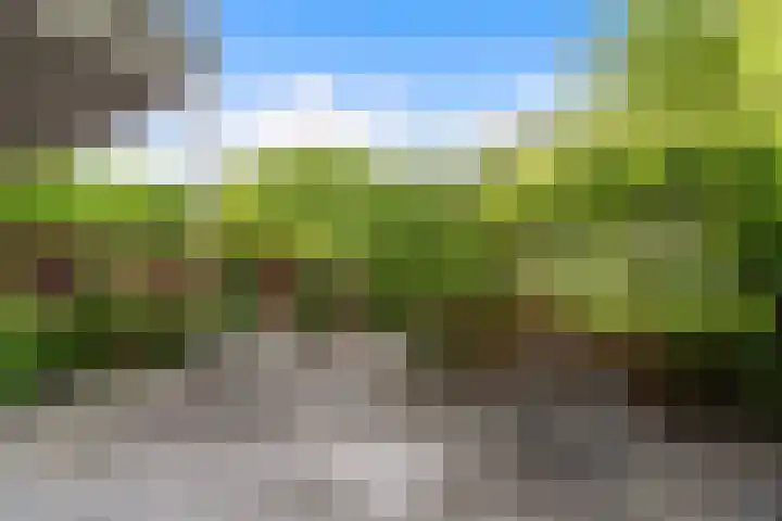 Dwergvinvisstraat 3 Amsterdam thumbnail 9