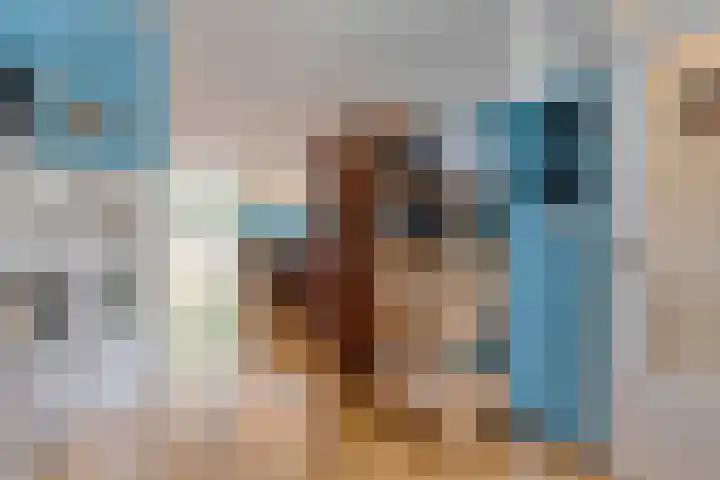 Dwergvinvisstraat 34 Amsterdam thumbnail 11