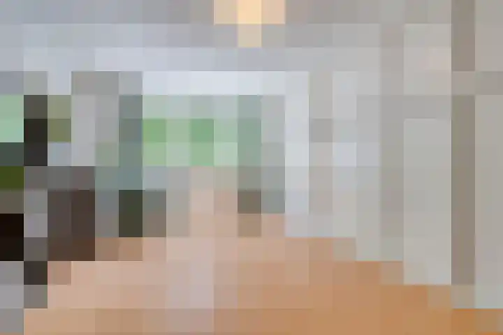 Dwergvinvisstraat 34 Amsterdam thumbnail 17