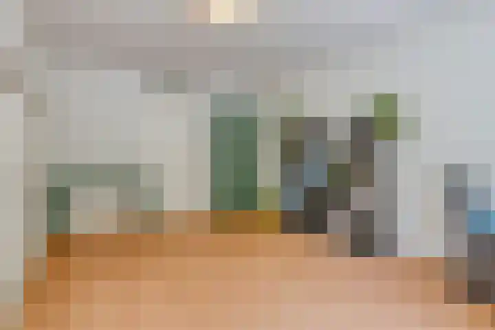Dwergvinvisstraat 34 Amsterdam thumbnail 18