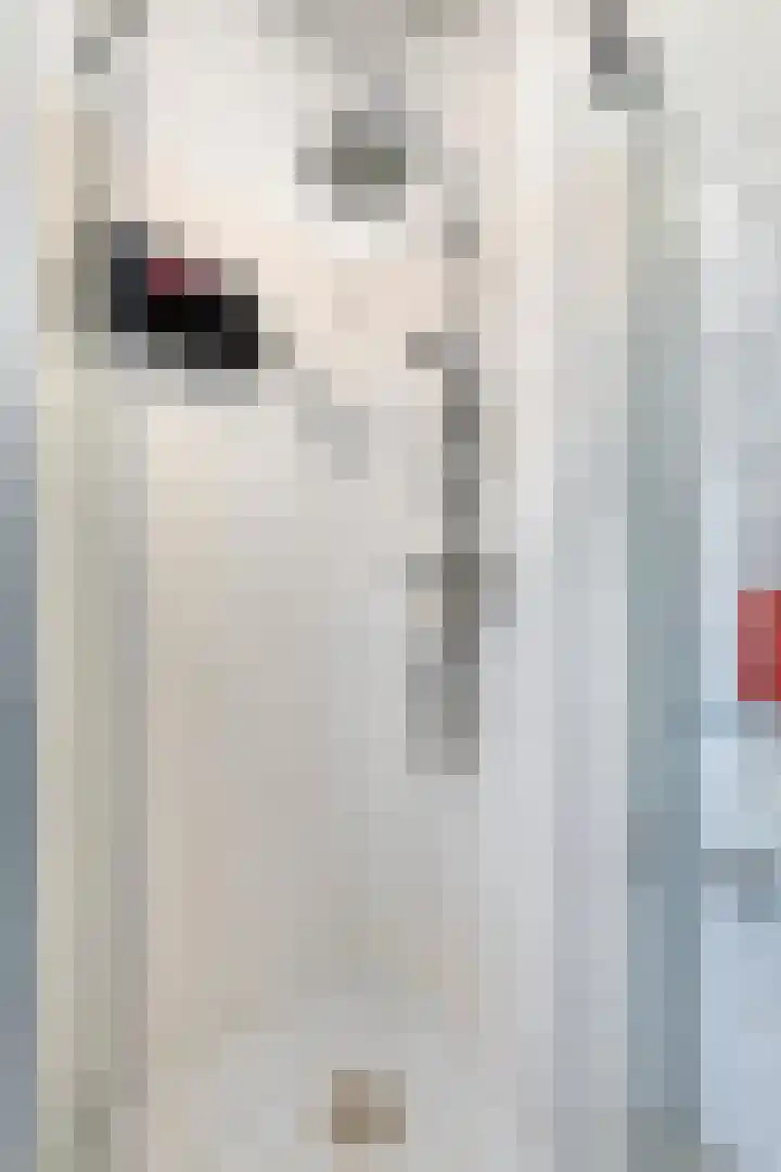 Dwergvinvisstraat 34 Amsterdam thumbnail 20