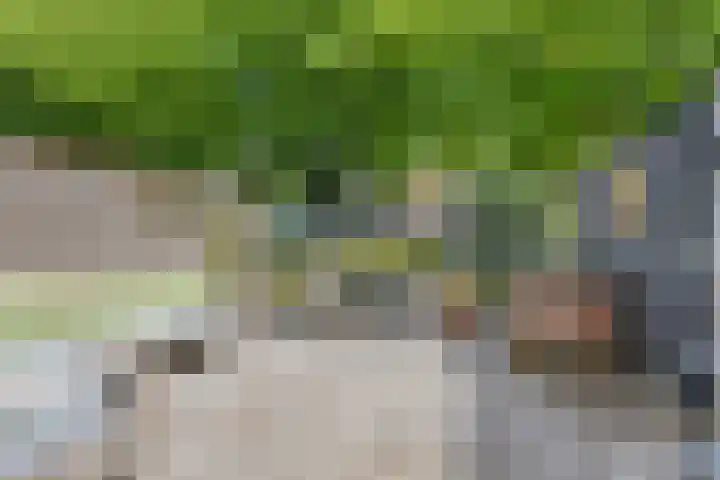 Dwergvinvisstraat 34 Amsterdam thumbnail 4