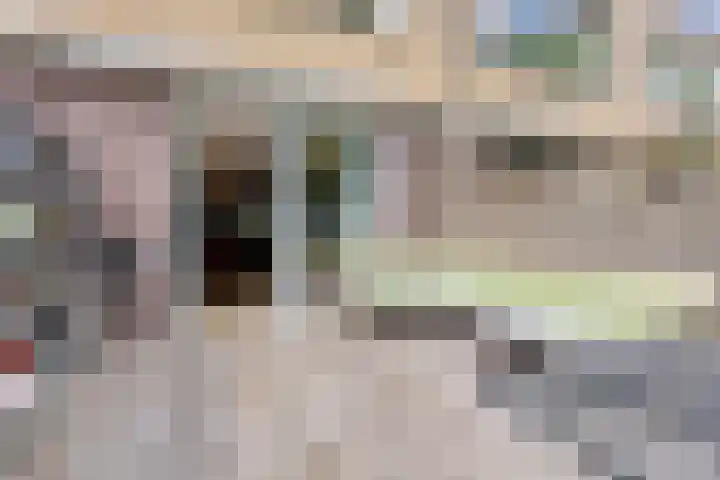 Dwergvinvisstraat 34 Amsterdam thumbnail 5