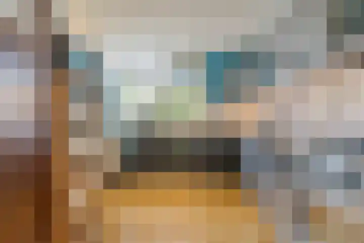 Dwergvinvisstraat 34 Amsterdam thumbnail 9