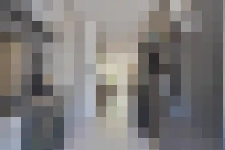 Dwergvinvisstraat 38 Amsterdam thumbnail 11
