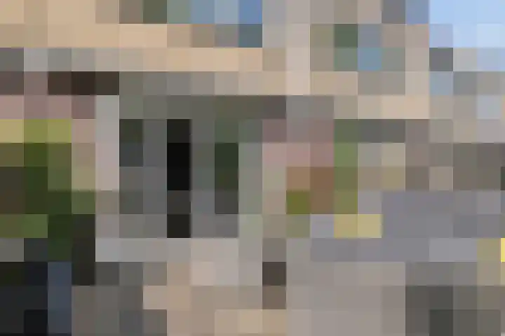 Dwergvinvisstraat 38 Amsterdam thumbnail 12