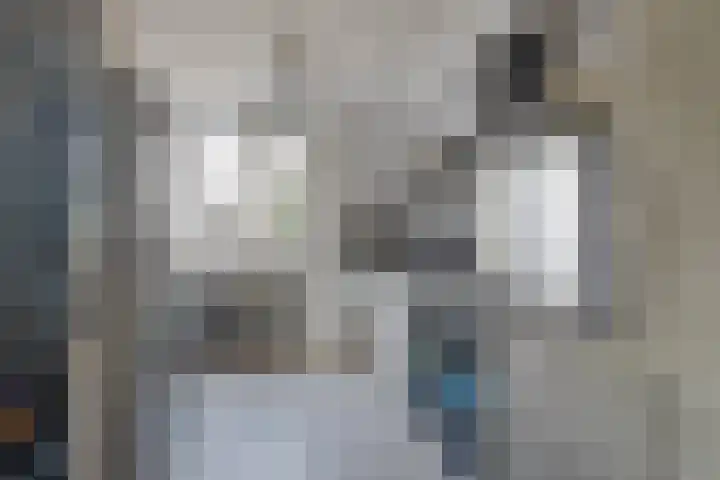Dwergvinvisstraat 38 Amsterdam thumbnail 4