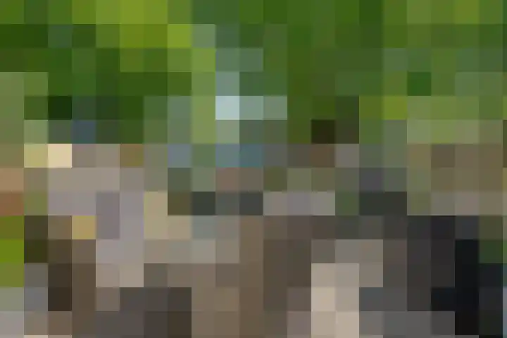 Dwergvinvisstraat 38 Amsterdam thumbnail 5