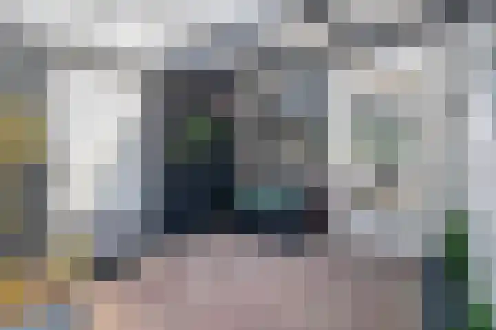 Dwergvinvisstraat 38 Amsterdam thumbnail 6