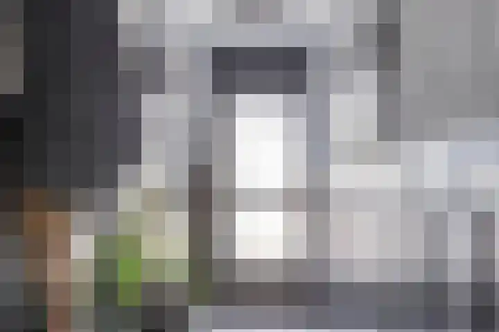Dwergvinvisstraat 38 Amsterdam thumbnail 7
