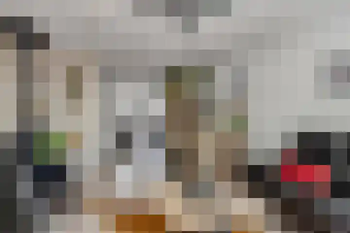Dwergvinvisstraat 38 Amsterdam thumbnail 8