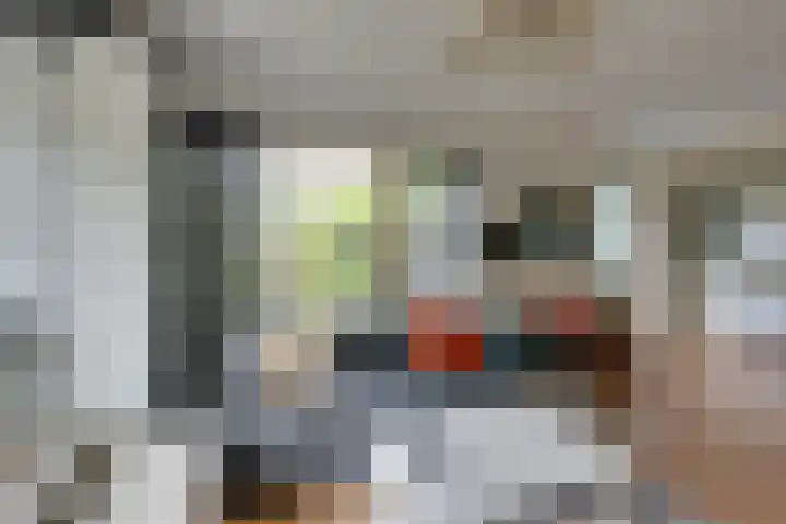 Dwergvinvisstraat 79 Amsterdam thumbnail 11