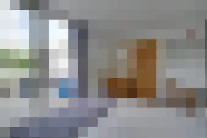 Dwergvinvisstraat 79 Amsterdam thumbnail 29