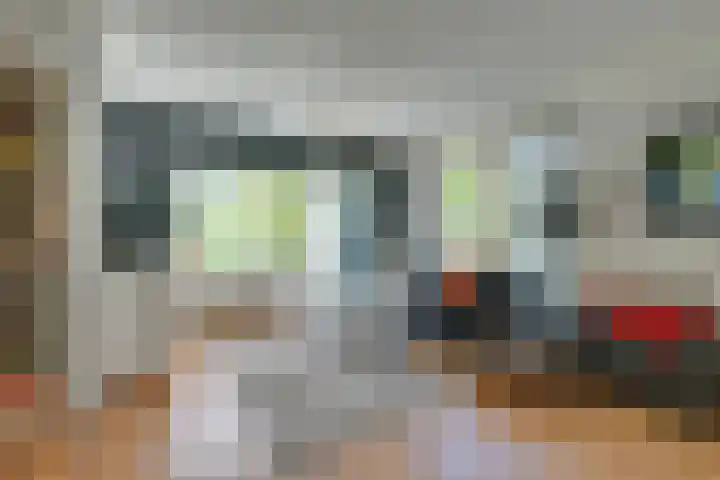 Dwergvinvisstraat 79 Amsterdam thumbnail 7