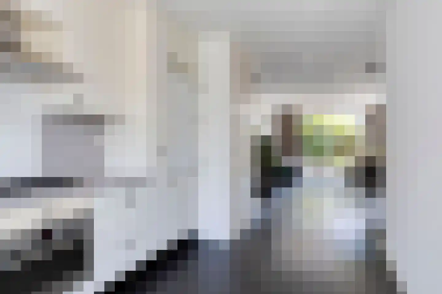 Dwergvinvisstraat 86 Amsterdam thumbnail 10