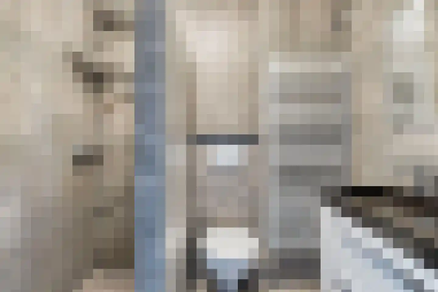 Dwergvinvisstraat 86 Amsterdam thumbnail 17