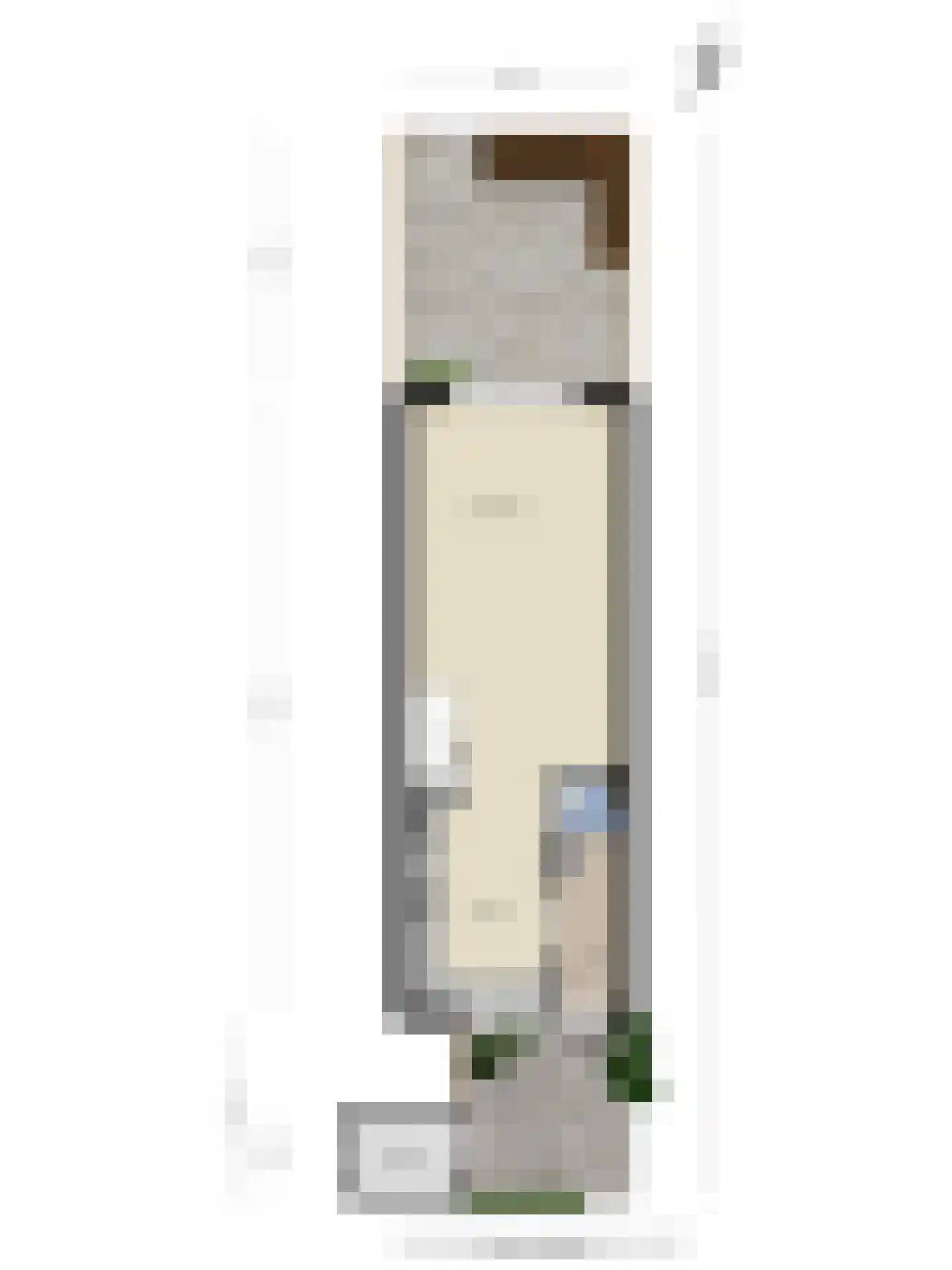 Dwergvinvisstraat 86 Amsterdam thumbnail 32