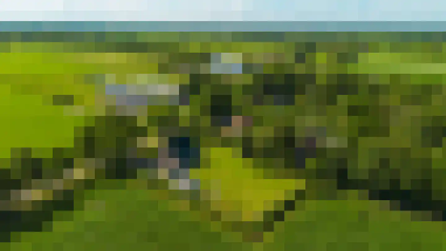 Dwersfeart 18 Gorredijk thumbnail 17