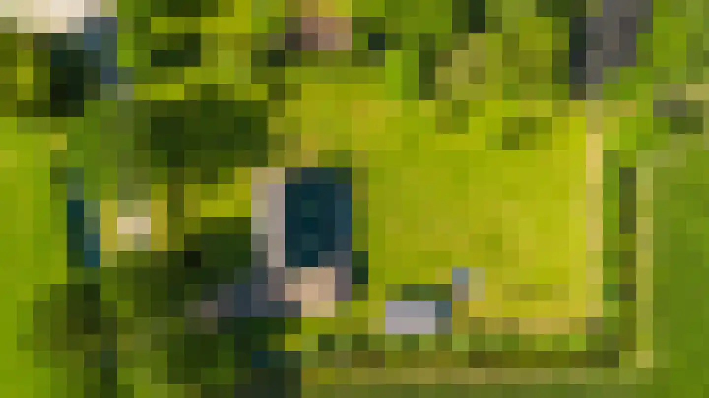 Dwersfeart 18 Gorredijk thumbnail 18
