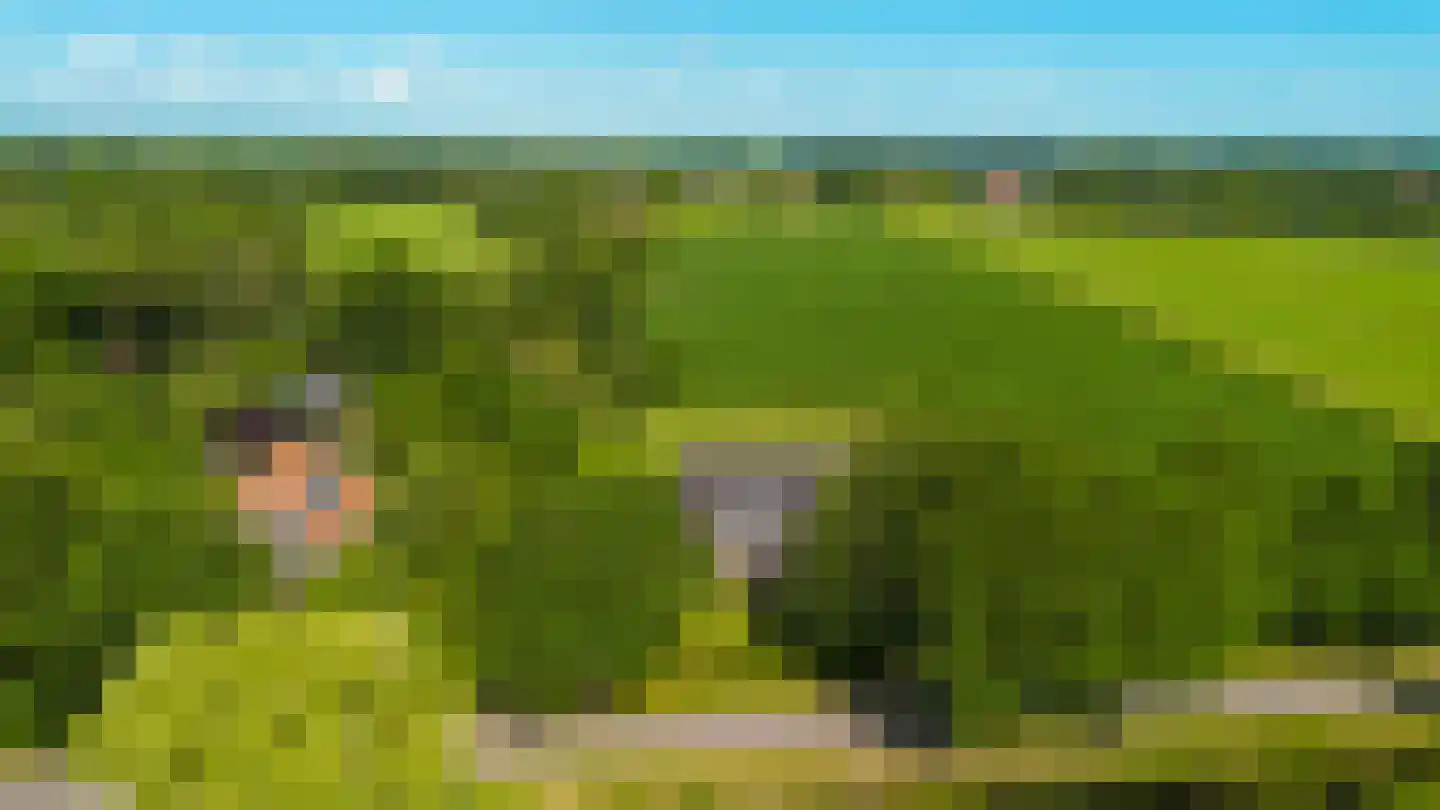 Dwersfeart 18 Gorredijk thumbnail 20