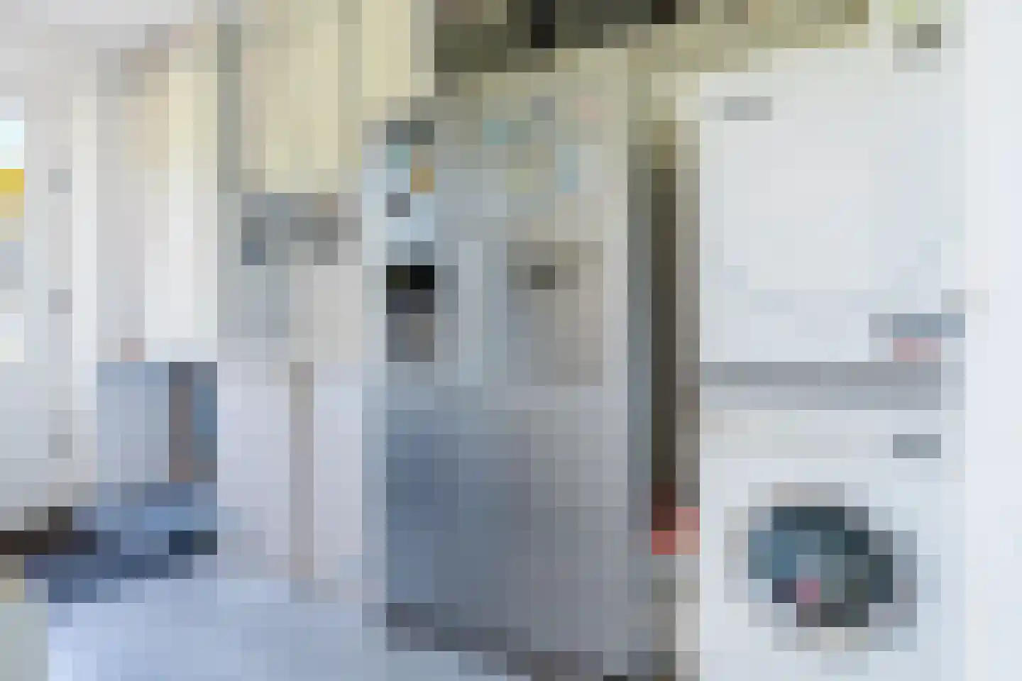 Dwersfeart 18 Gorredijk thumbnail 36