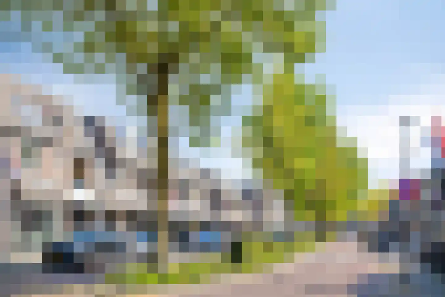 Dwerspad 8 Nuenen thumbnail 39