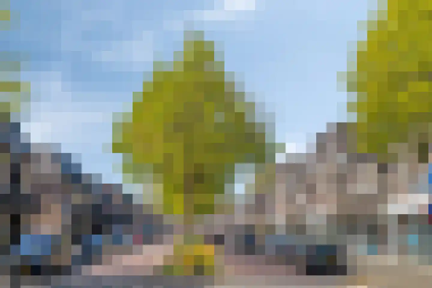 Dwerspad 8 Nuenen thumbnail 40