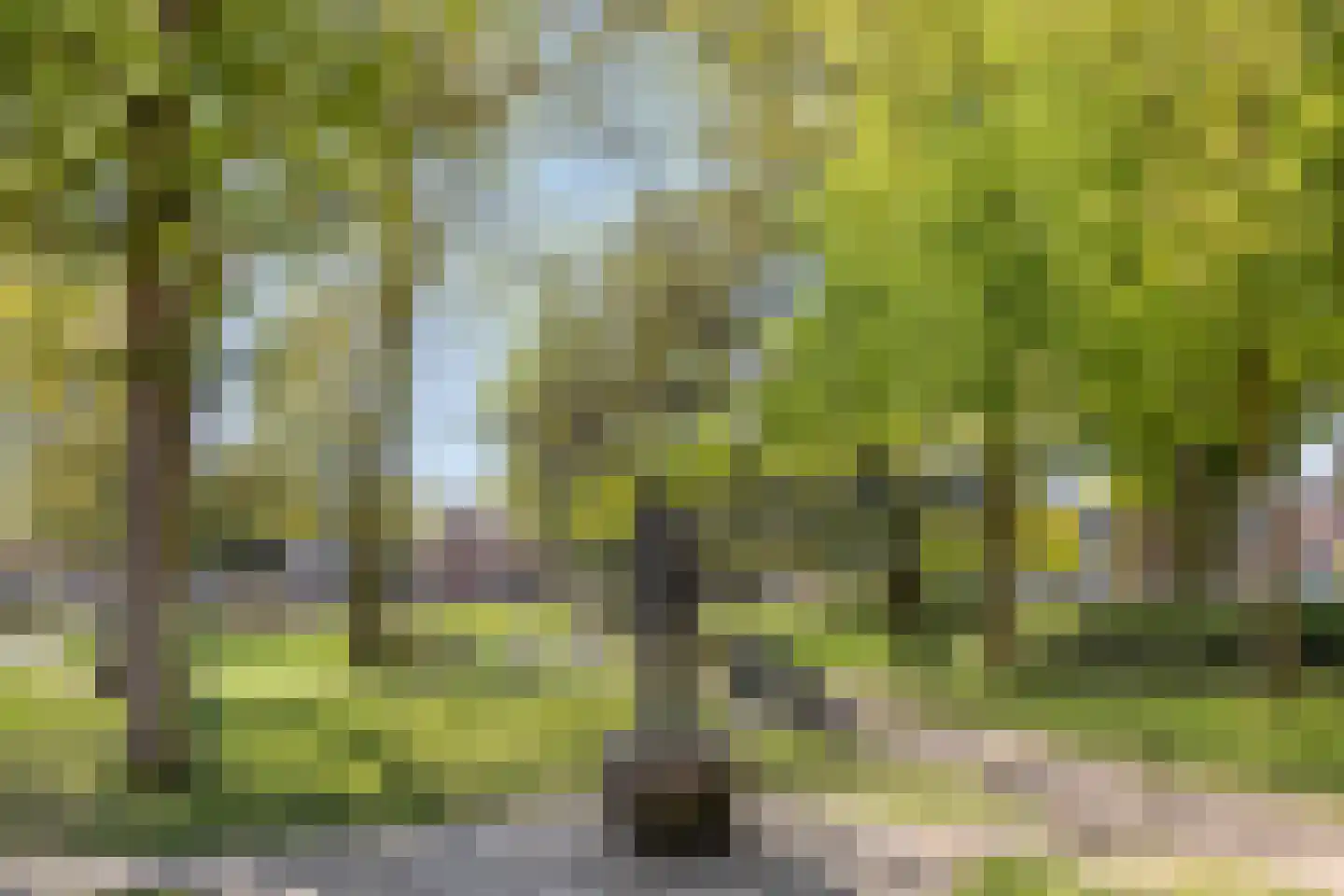 Dwerspad 8 Nuenen thumbnail 41