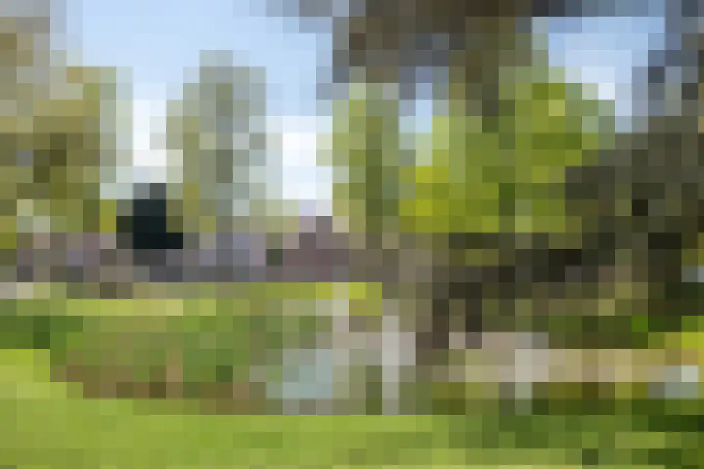 Dwerspad 8 Nuenen thumbnail 42