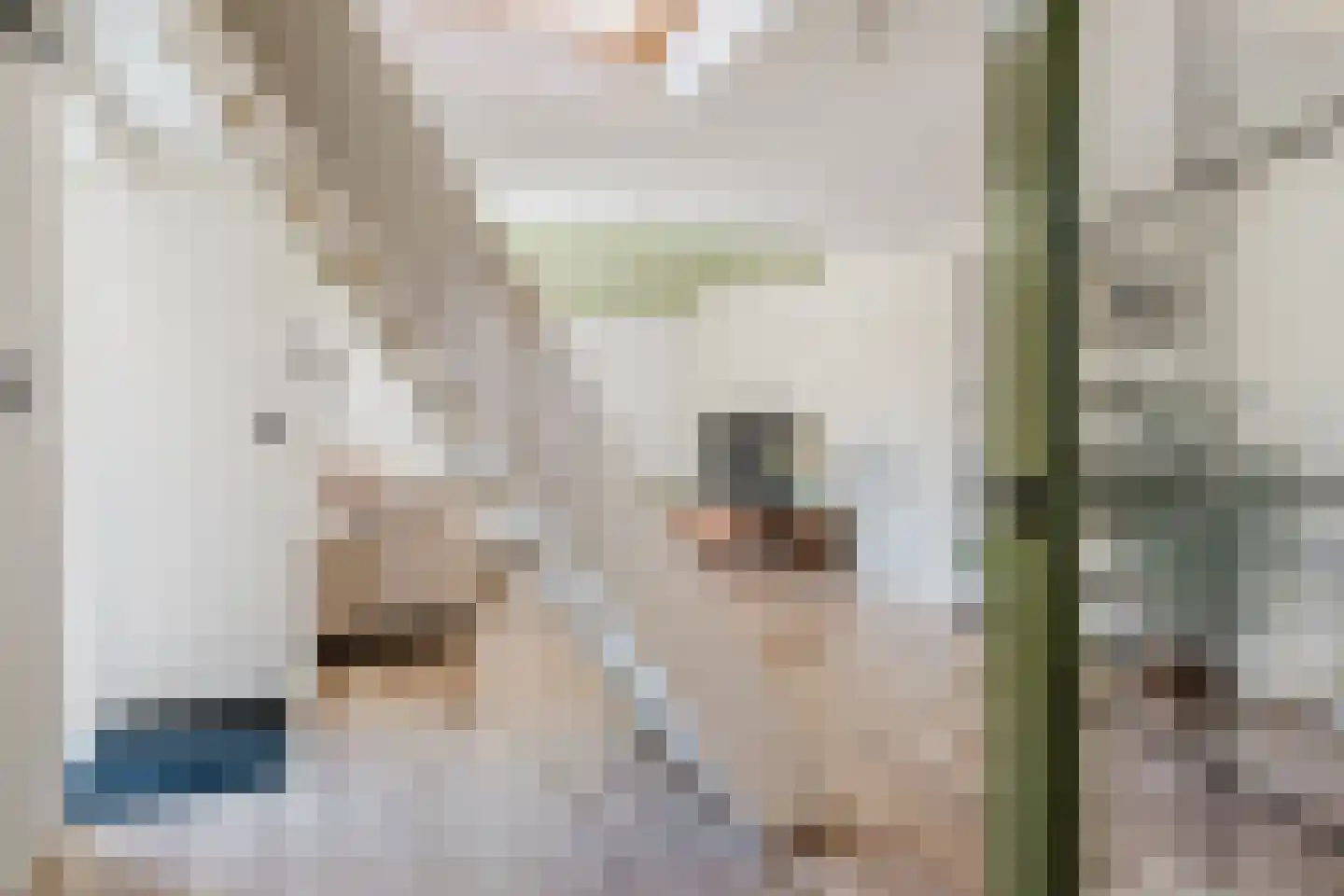 Dwerssteech 4 Woudsend thumbnail 10