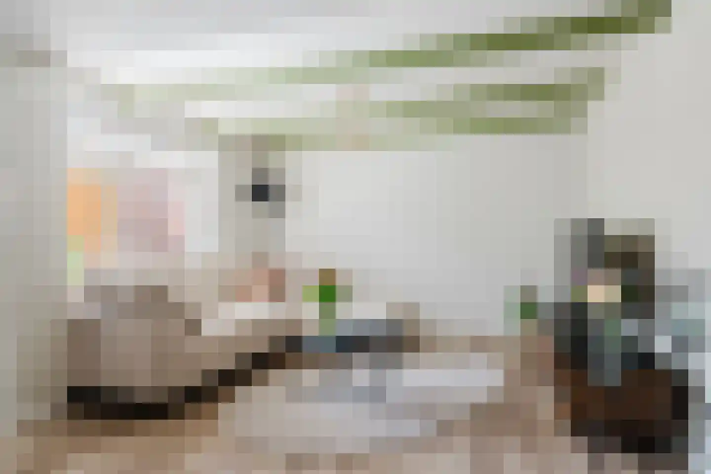 Dwerssteech 4 Woudsend thumbnail 11