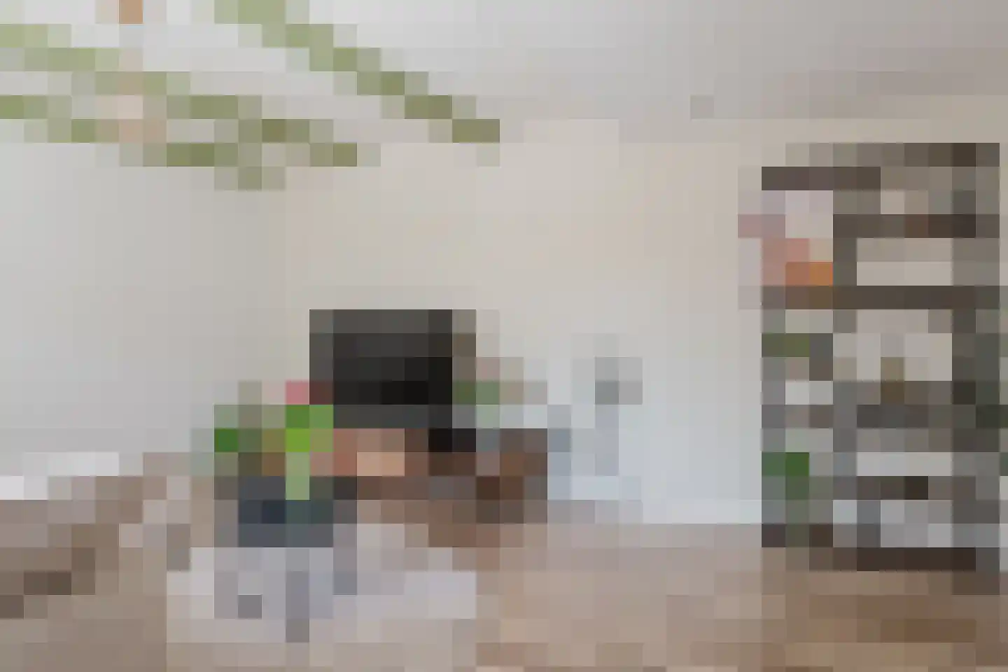 Dwerssteech 4 Woudsend thumbnail 12